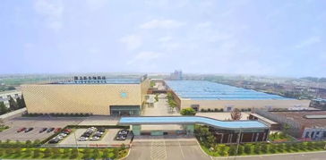 隆力奇 堅(jiān)守大健康產(chǎn)業(yè)，以網(wǎng)絡(luò)科技賦能民族品牌振興之路